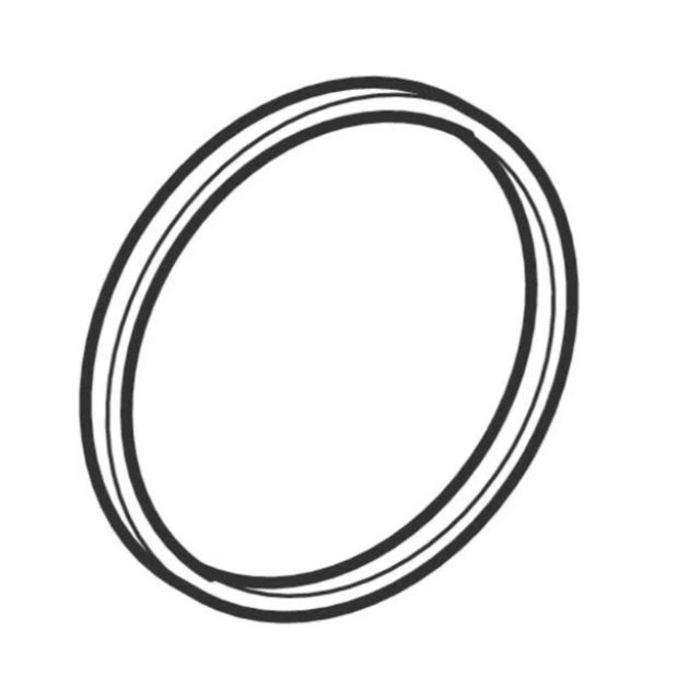 O-ring per tubo d'uscita
per sifone GEBERIT
Colori: senza colore