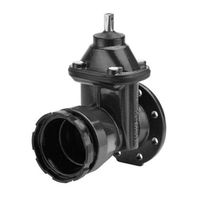 Wild Saracinesca con flangia e manicotto a vite Fig.2004 FU