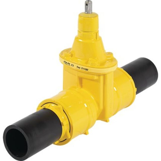 HAWLE sarac.con attacco pe/gas
4815   DN65    75MM     PN5