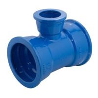 vonRoll, T autostagno, Fig. 2856