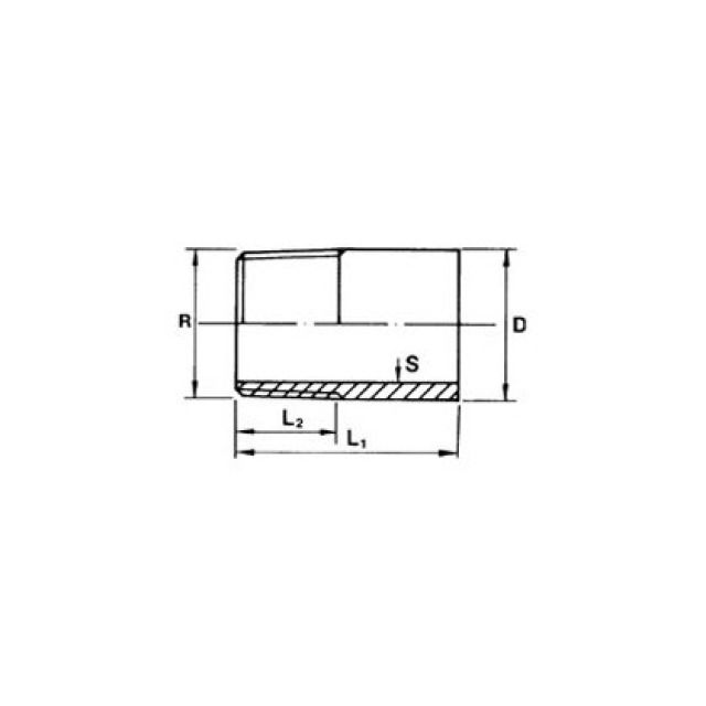 Nipplo di saldatura 1 1/4"-50 mm
Acciaio inossidabile (1.4404)